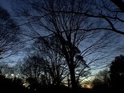 「眠り姫」 (c)2007 charm point