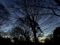 「眠り姫」 (c)2007 charm point