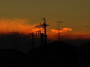 「眠り姫」 (c)2007 charm point