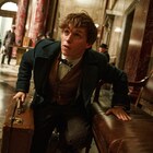 ハリポタ新章「ファンタスティック・ビースト」E・レッドメインらのキャラ明らかに