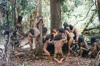 「食人族」 (c)F.D. CINEMATOGRAFICA S.R.L. 1980