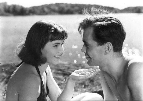 「夏の遊び」 (c)1951 AB Svensk Filmindustri