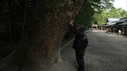 「神宮希林 わたしの神様」 (c)東海テレビ放送