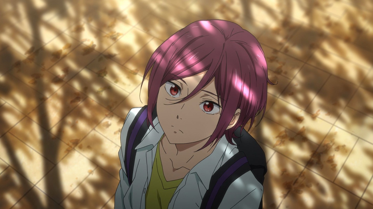 「映画 ハイ☆スピード！―Free! Starting Days―」