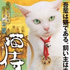 観るべし!白猫・玉之丞のルーツ描く「猫侍」SPドラマ、DVDやアプリのリリースも