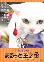 「猫侍 いやし猫DVD まるっと玉之丞」ジャケット