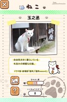 猫侍公式アプリ「玉之丞といっしょ」