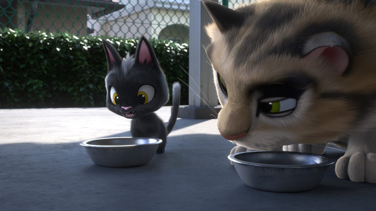 井上真央 鈴木亮平演じる猫の声が初解禁 ルドルフとイッパイアッテナ 特報 映画ナタリー