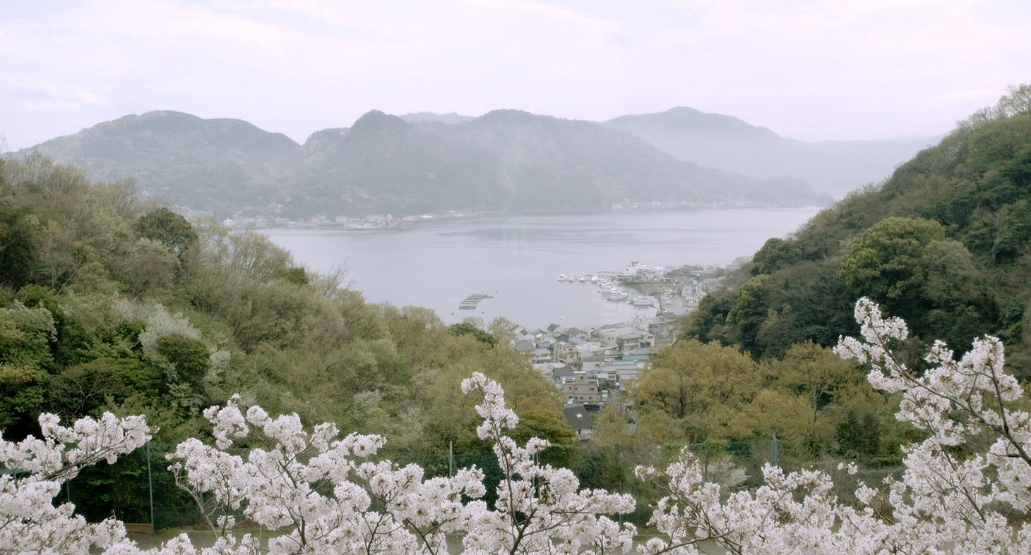 「桜ノ雨」