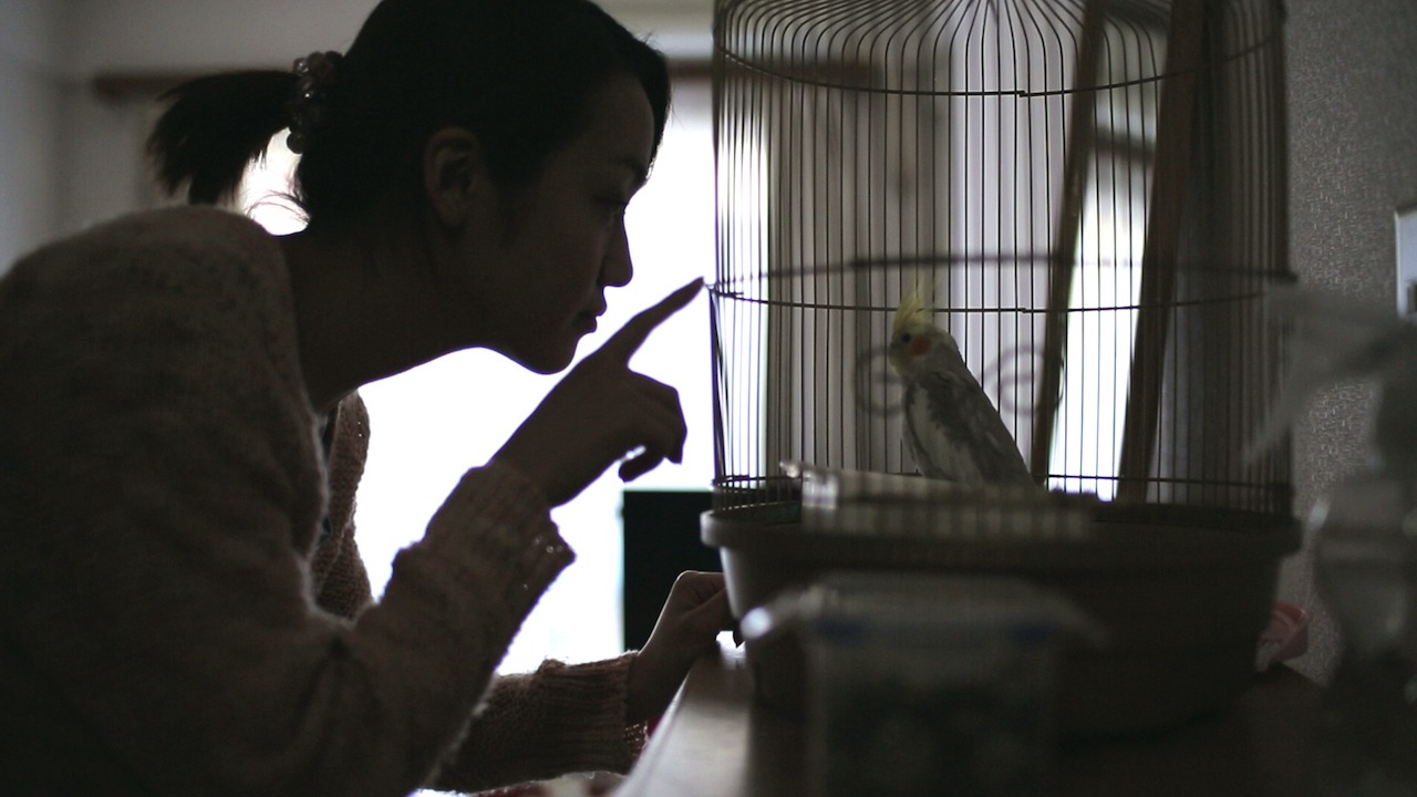 「籠の中」