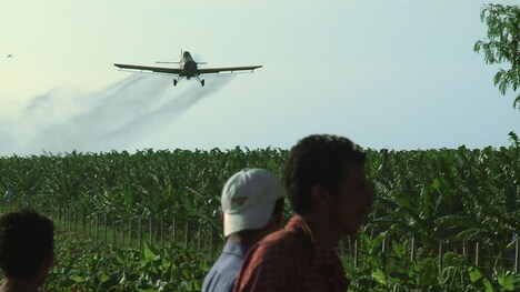 「バナナの逆襲」 (c)WG FILM