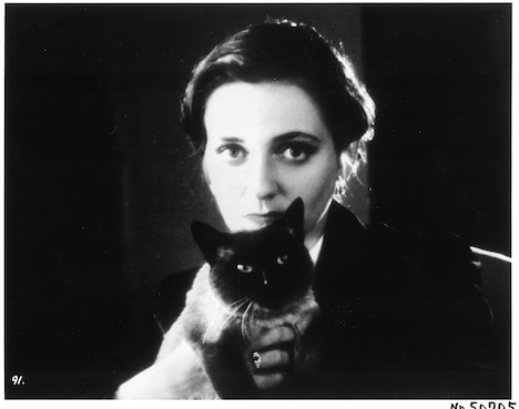 「アブラハム渓谷」