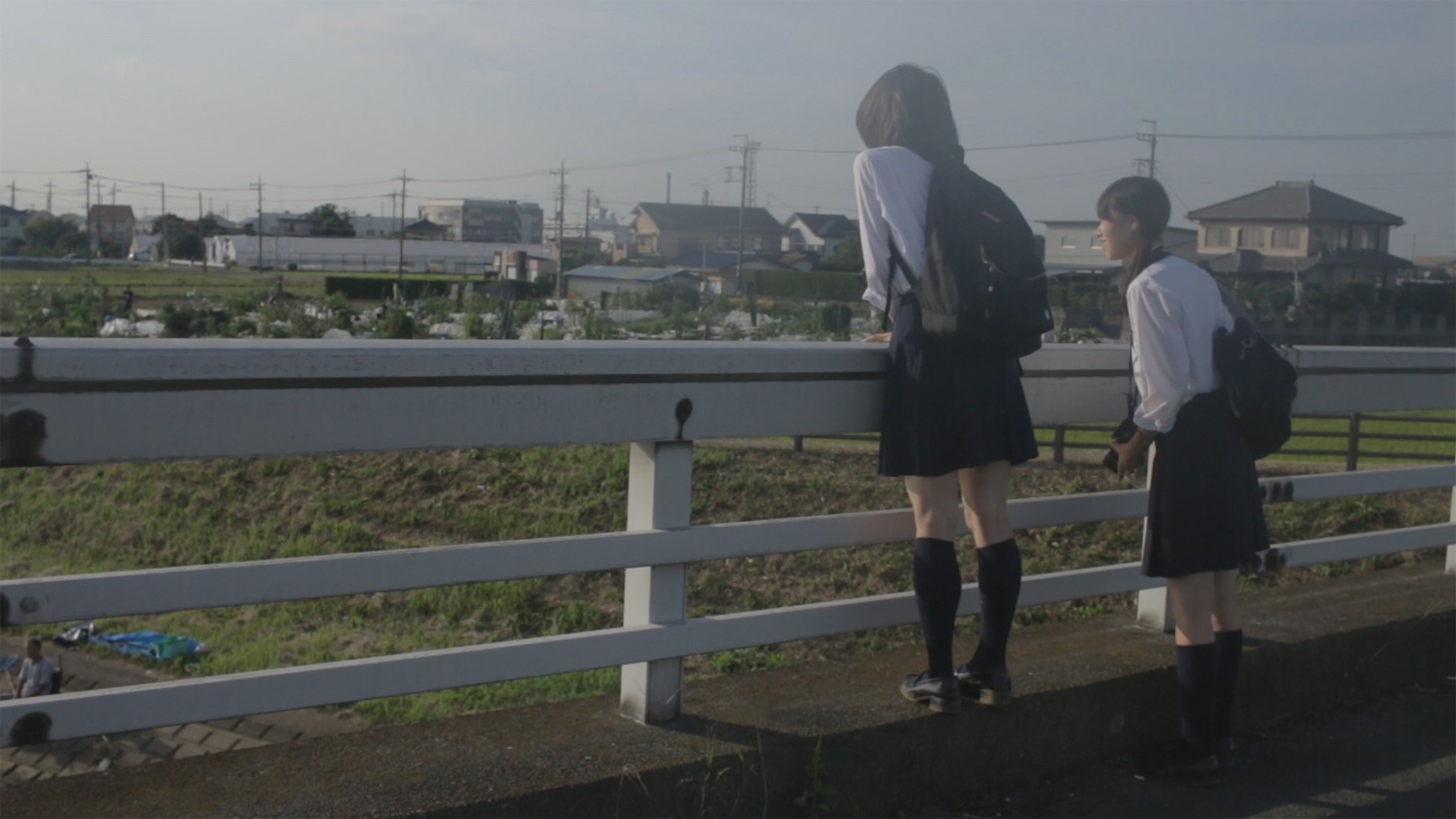 「藍より出でてアイより青し」