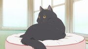 「彼女と彼女の猫 -Everything Flows-」 (c)Makoto Shinkai／CWF・彼女と彼女の猫EF製作委員会