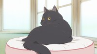 「彼女と彼女の猫 -Everything Flows-」 (c)Makoto Shinkai／CWF・彼女と彼女の猫EF製作委員会
