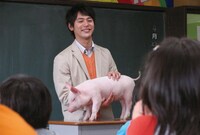 「ブタがいた教室」 (c)2008「ブタがいた教室」製作委員会