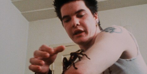 「ザ・デクライン」より、ジャームスのダービー・クラッシュ。