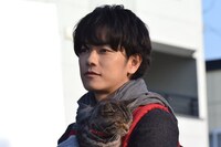 「世界から猫が消えたなら」