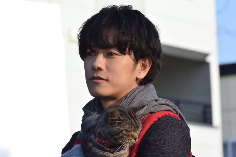 佐藤健と愛猫とのふれあい収めた 世界から猫が消えたなら 場面写真 予告編公開 映画ナタリー