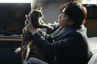 「世界から猫が消えたなら」