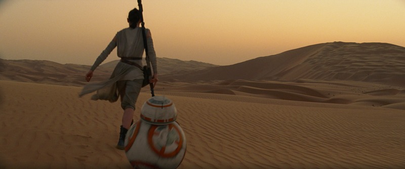 「スター・ウォーズ／フォースの覚醒」より、レイと彼女について行くBB-8。(c)2015 Lucasfilm Ltd. & TM. All Rights  Reserved
