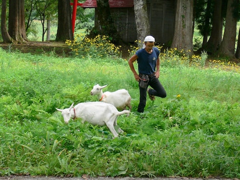 「風の波紋」 (c)カサマフィルム
