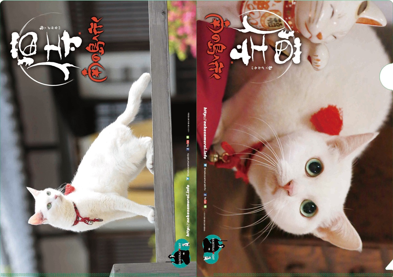 「猫侍 コレクターズセット」クリアファイル