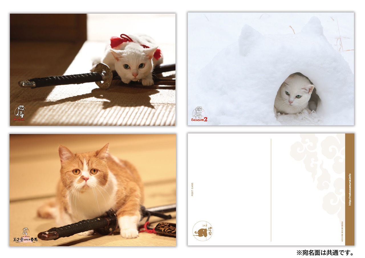 「猫侍 コレクターズセット」ポストカード