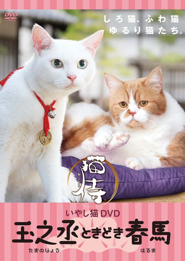 DVD「玉之丞ときどき春馬」ジャケット