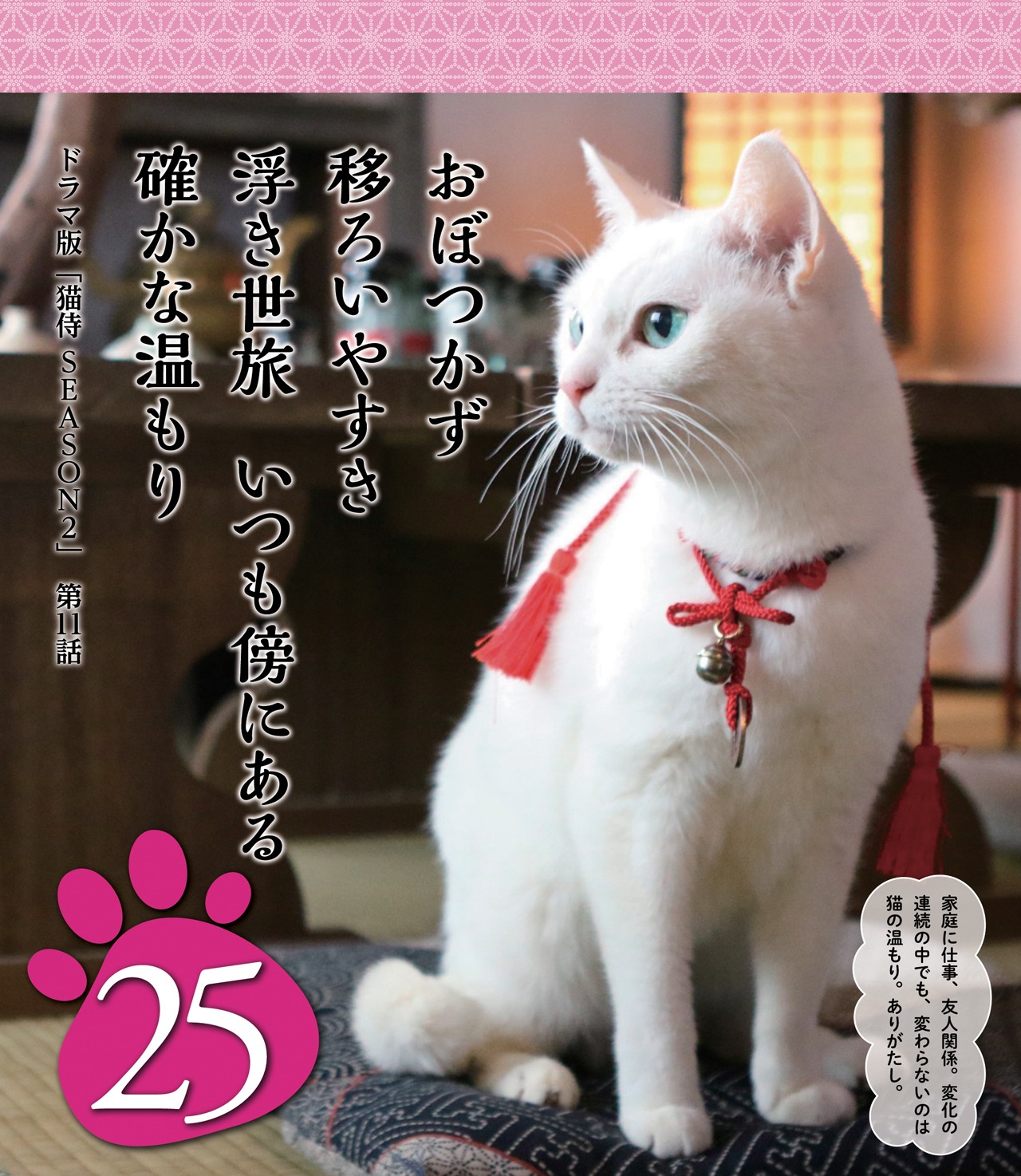 「猫侍 コレクターズセット」日めくりカレンダー