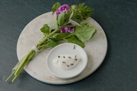 「ノーマ、世界を変える料理」 (c)2015 DOCUMENTREE FILMS LTD