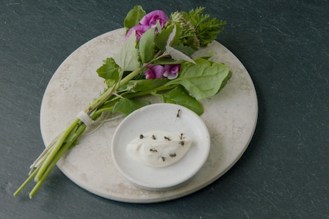 「ノーマ、世界を変える料理」 (c)2015 DOCUMENTREE FILMS LTD