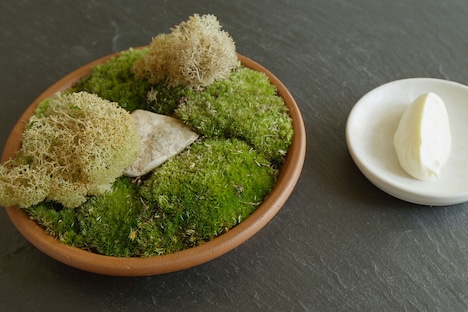 「ノーマ、世界を変える料理」 (c)2015 DOCUMENTREE FILMS LTD