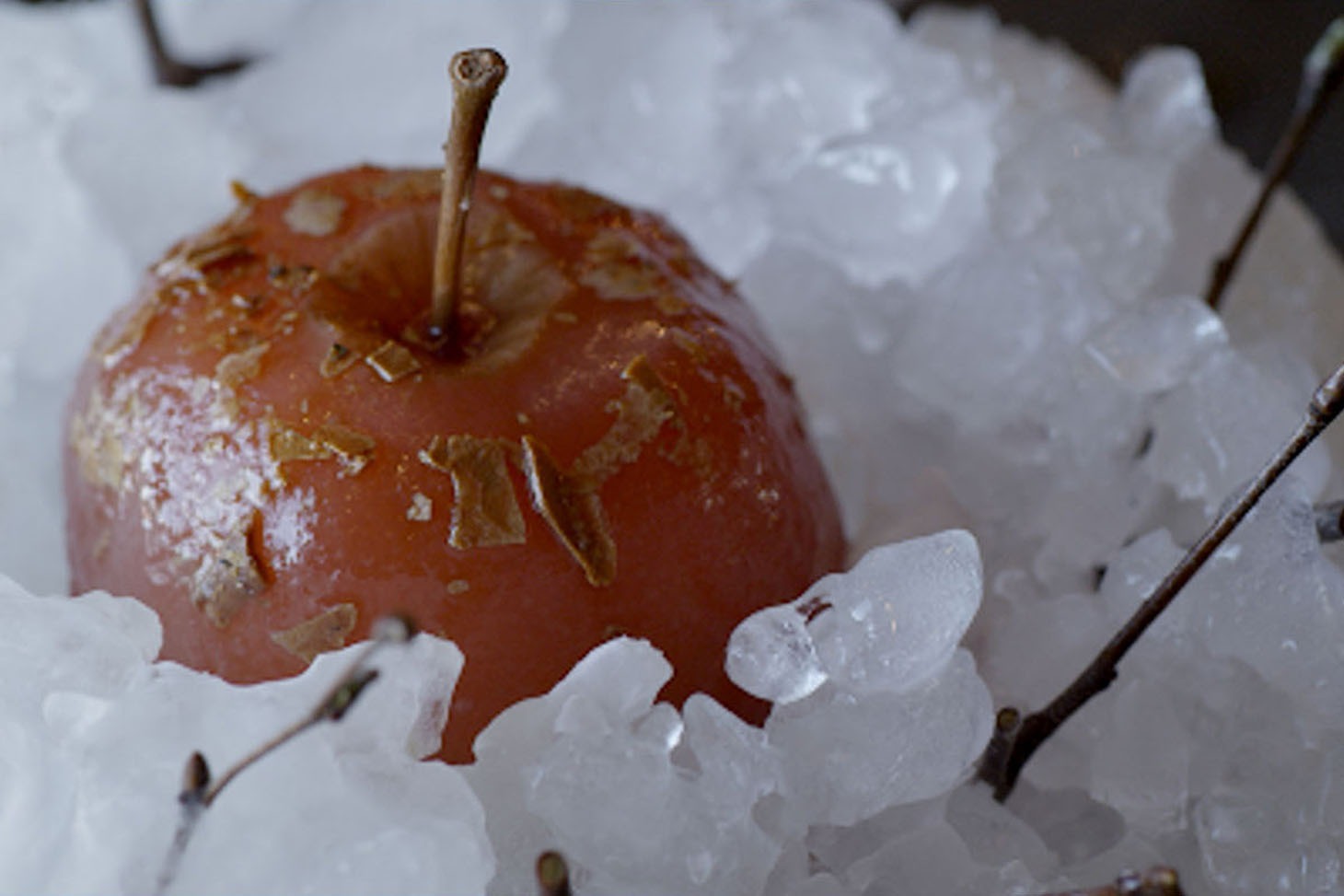 「ノーマ、世界を変える料理」 Photo by Pierre Deschamps (c)2015 DOCUMENTREE FILMS LTD