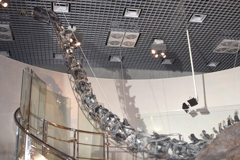 アーロのモデルとなった恐竜アパトサウルスの骨格標本。