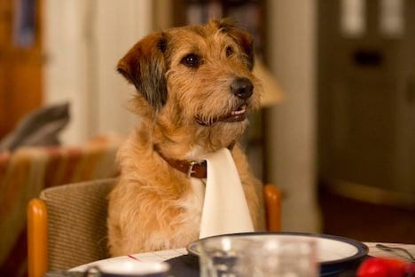 「ミラクル・ニール！」