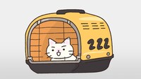 「猫ピッチャー」 (c)2013そにしけんじ／読売新聞社