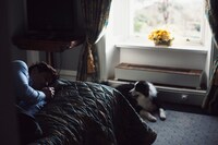 「ロブスター」