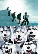 「X-ミッション」場面写真(上)とMAN WITH A MISSION(下)。