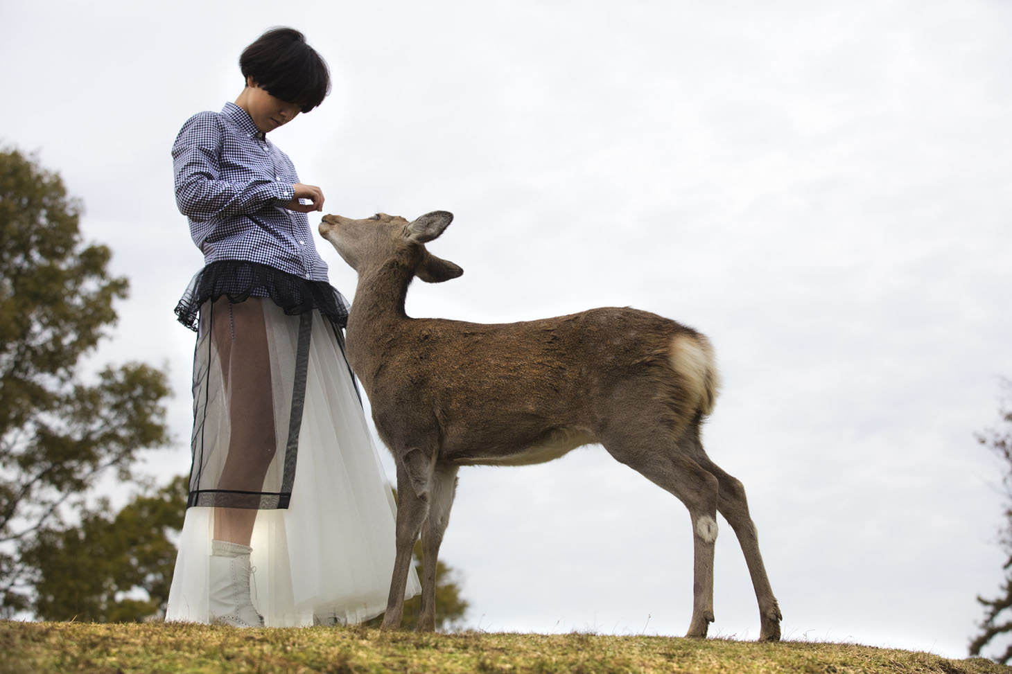 「SEED」撮影風景 Photographed by LESLIE KEE
