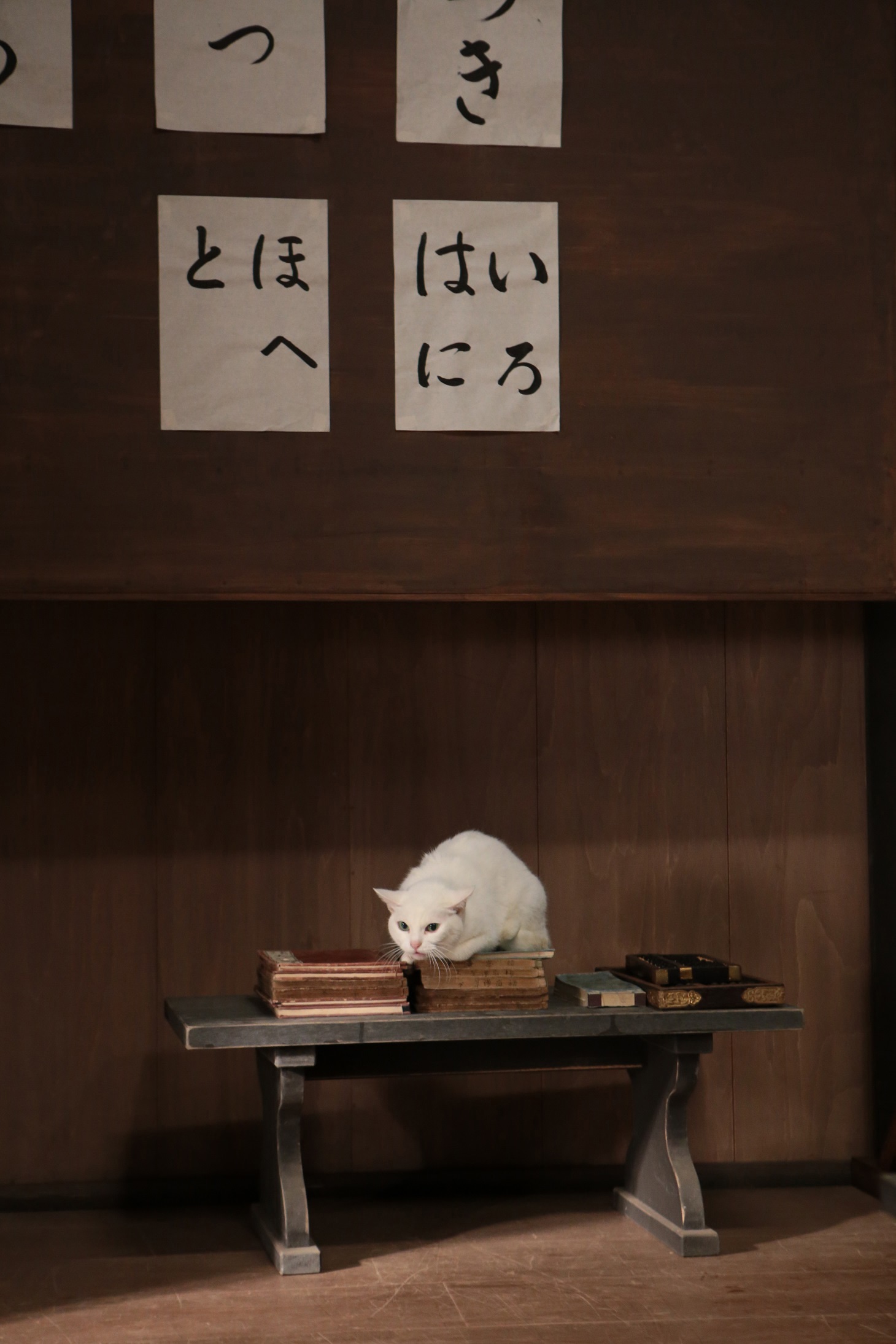 あなご