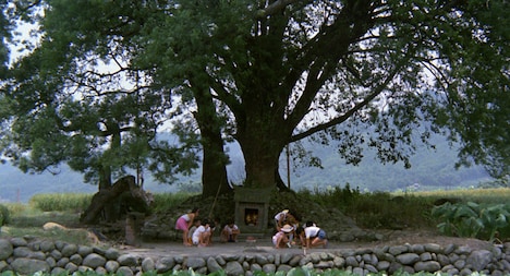 「冬冬（トントン）の夏休み」