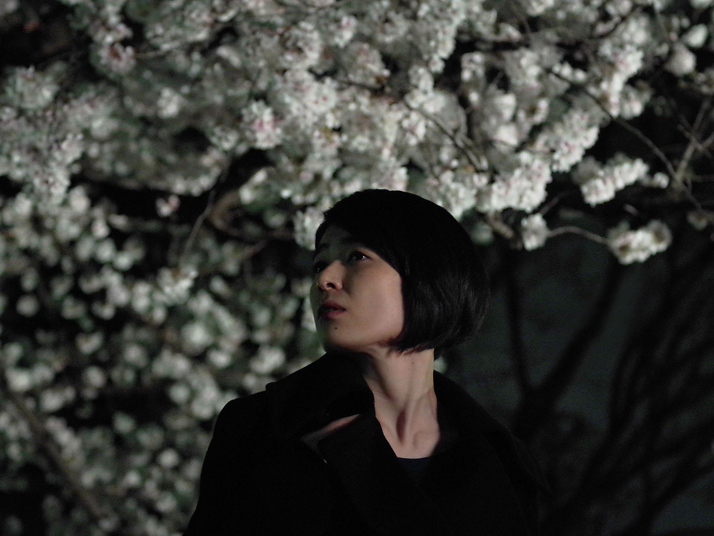「SHARING」
