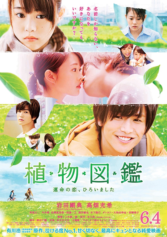 「植物図鑑 運命の恋、ひろいました」新ポスタービジュアル (c)2016「植物図鑑」製作委員会