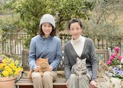 連続ドラマW「グーグーだって猫である2 -good good the fortune cat-」 (c)WOWOW