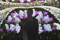 「安藤昇 お別れの会」にて、梅宮辰夫による献酒の様子。写真は中継モニターより。