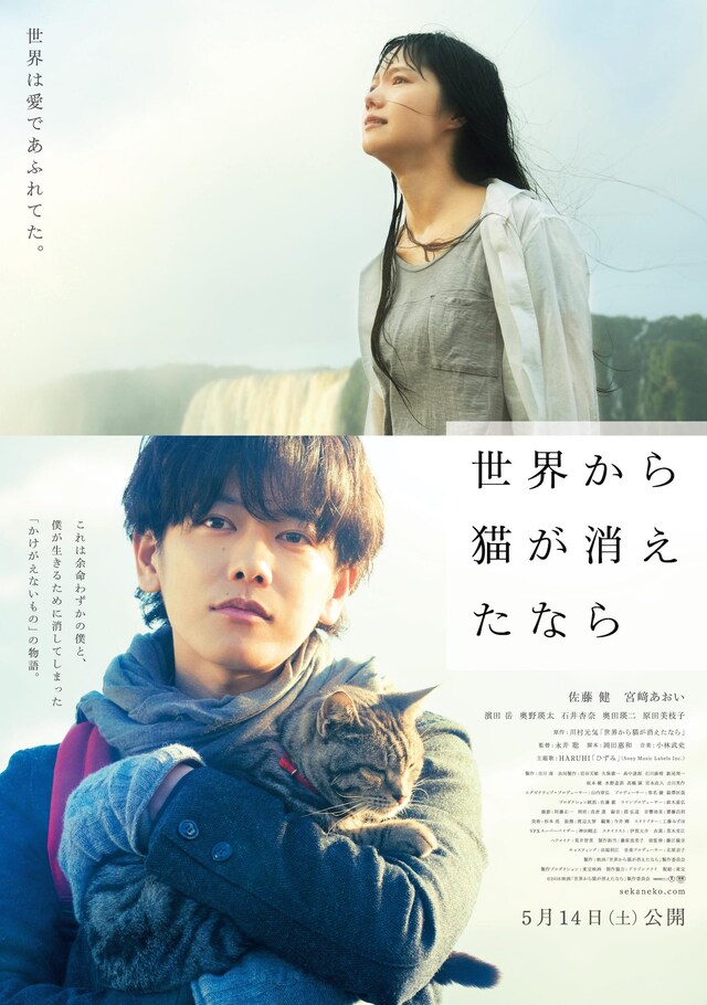 「世界から猫が消えたなら」ポスタービジュアル