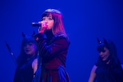 橋本環奈