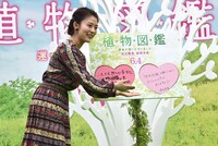 「恋愛成就の木」にメッセージをはめ込む高畑充希。