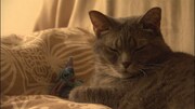 映画「FAKE」のワンシーン。